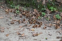 VBS_7821 - Là, dove finisce la strada, comincia un mondo